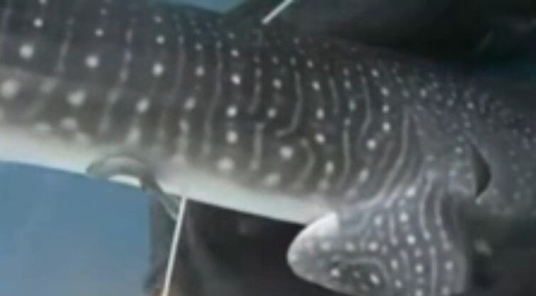 5d2f8daa-e2db-4270-a7ce-ac990dd62508