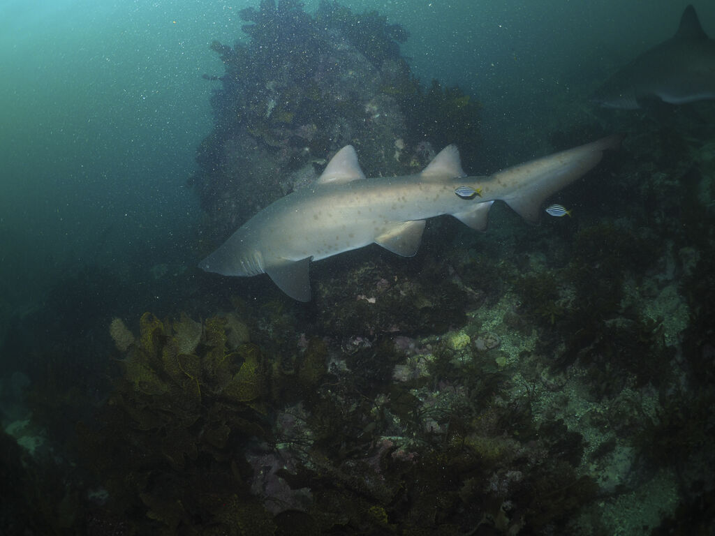 1d0b8d3d-486b-41f6-b132-e1b4aabeb965