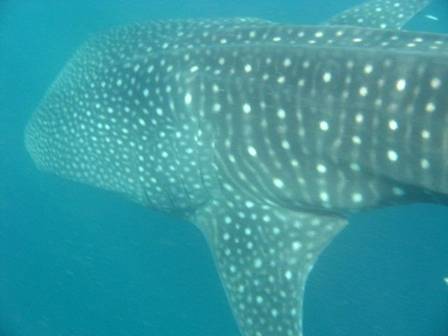 f58a0781-d02f-4b7e-a819-6917ebe82721