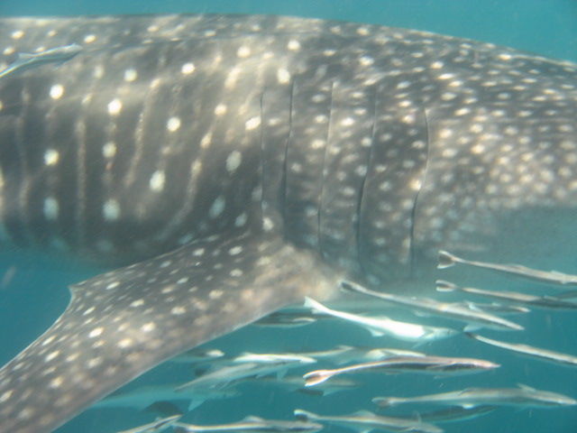 f58a0781-d02f-4b7e-a819-6917ebe82721