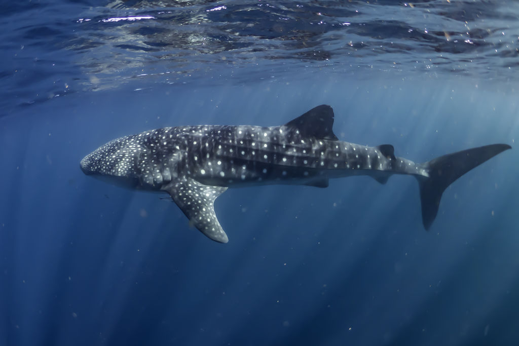 3220dd36-7525-4c4b-90aa-b4bc569fe1bb