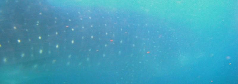 79e22abe-4ad3-42eb-b560-0c3956fa40b3