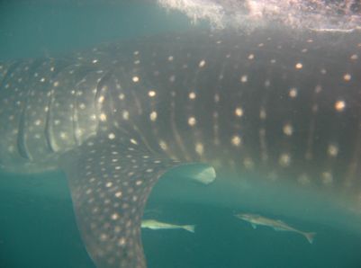 79e22abe-4ad3-42eb-b560-0c3956fa40b3