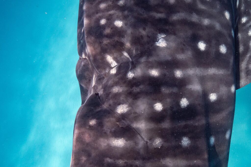 ee75fa40-b4fc-4947-8e72-4f06c371f837