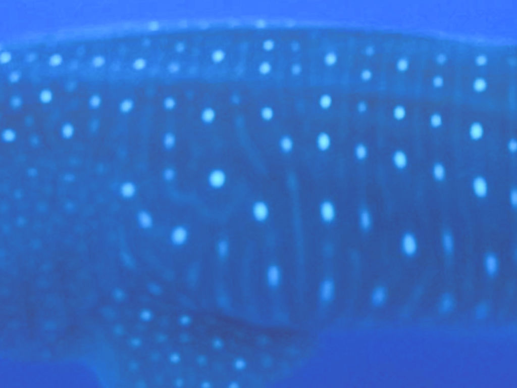 282ce950-57d2-4561-a2fe-7e3b1534c4bd