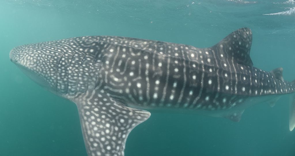 ab3e6943-7180-4dc9-b1a3-1e866b3287db