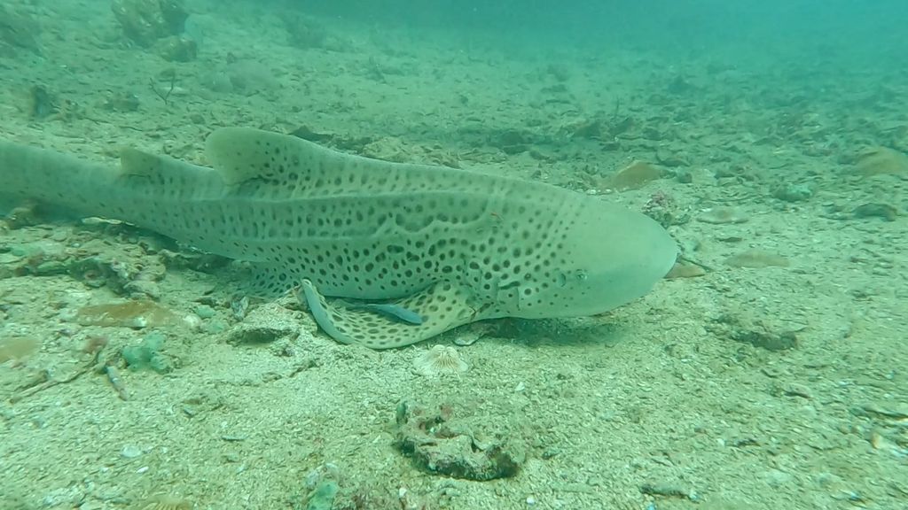 5a7ae326-48cb-49ed-9a8a-496416da2abe