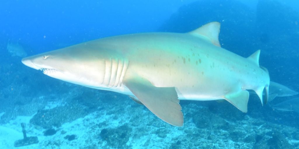 1a47b649-5919-482f-9ca0-8e09ba2ff877