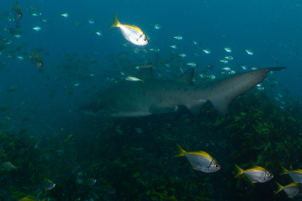 4868df4d-4e6b-41dc-b5c5-6ba64cec9395