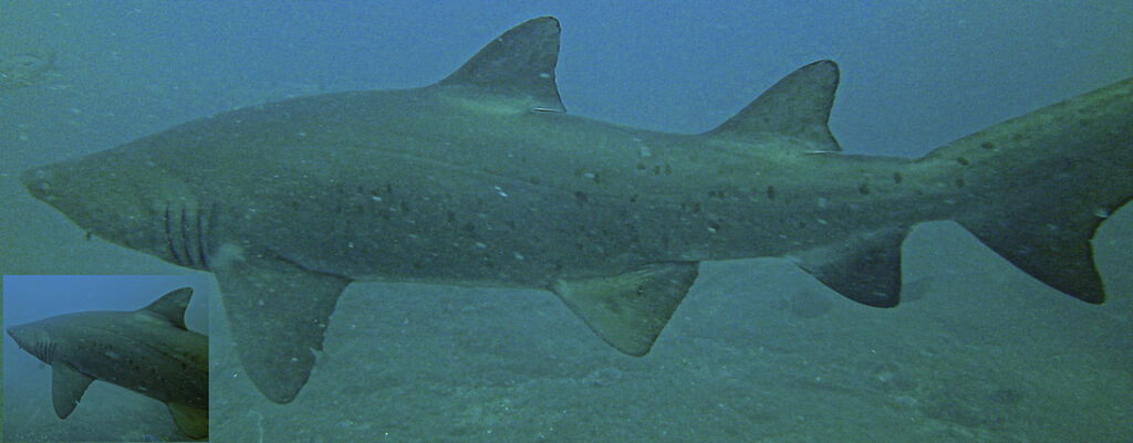 4ac5443b-6fdd-4f0d-9616-f755bc6d6744