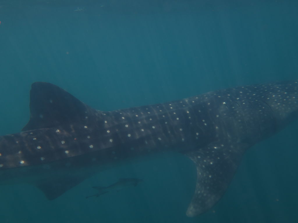 8d2cce25-8d3c-483b-924b-4a5f66941cd3