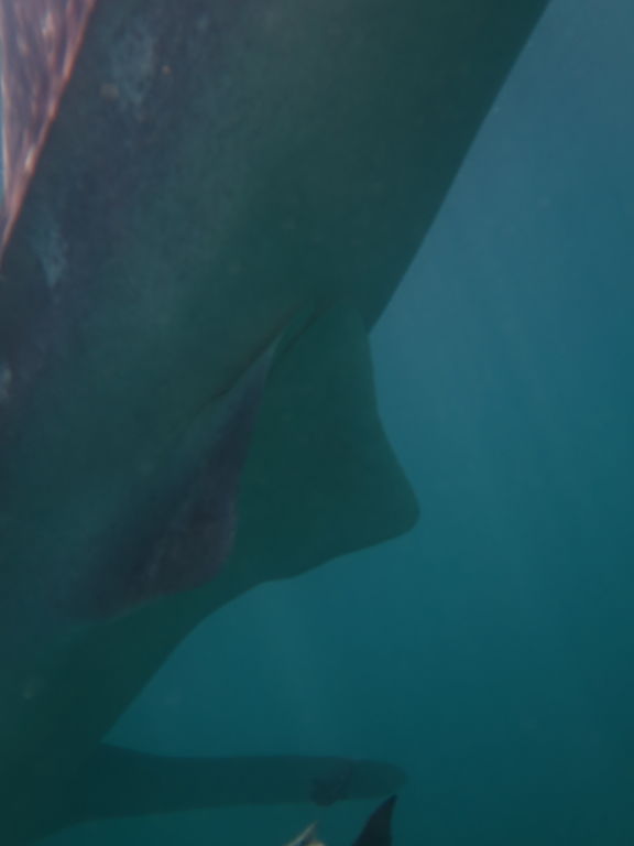 8d2cce25-8d3c-483b-924b-4a5f66941cd3