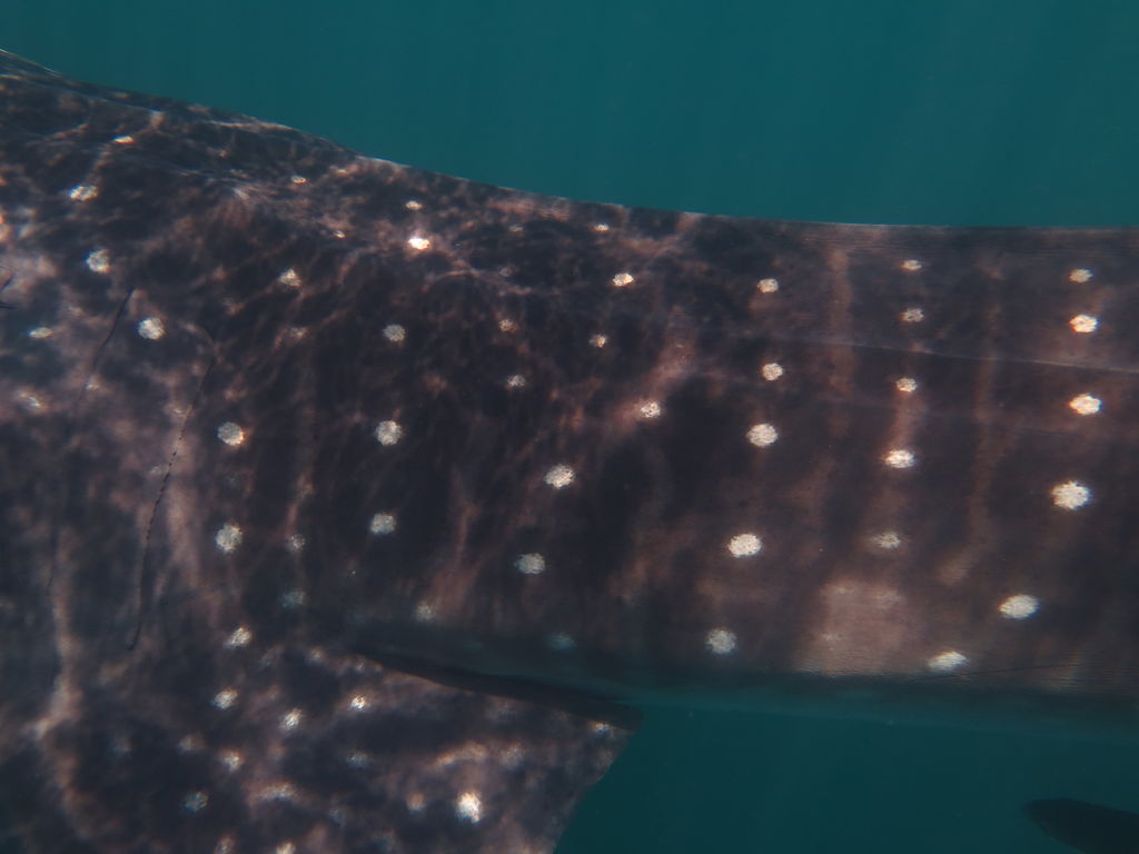 8d2cce25-8d3c-483b-924b-4a5f66941cd3