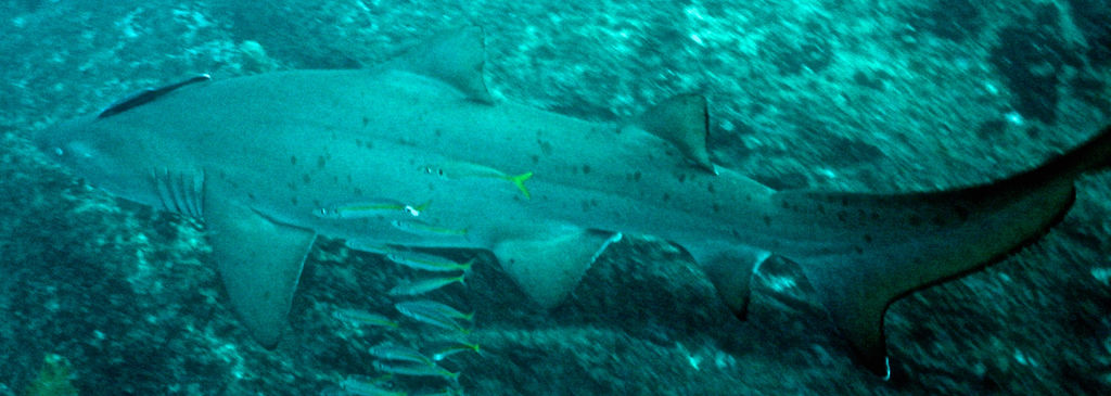 ea18f439-2c88-46d0-b8dc-926cdd2f168f