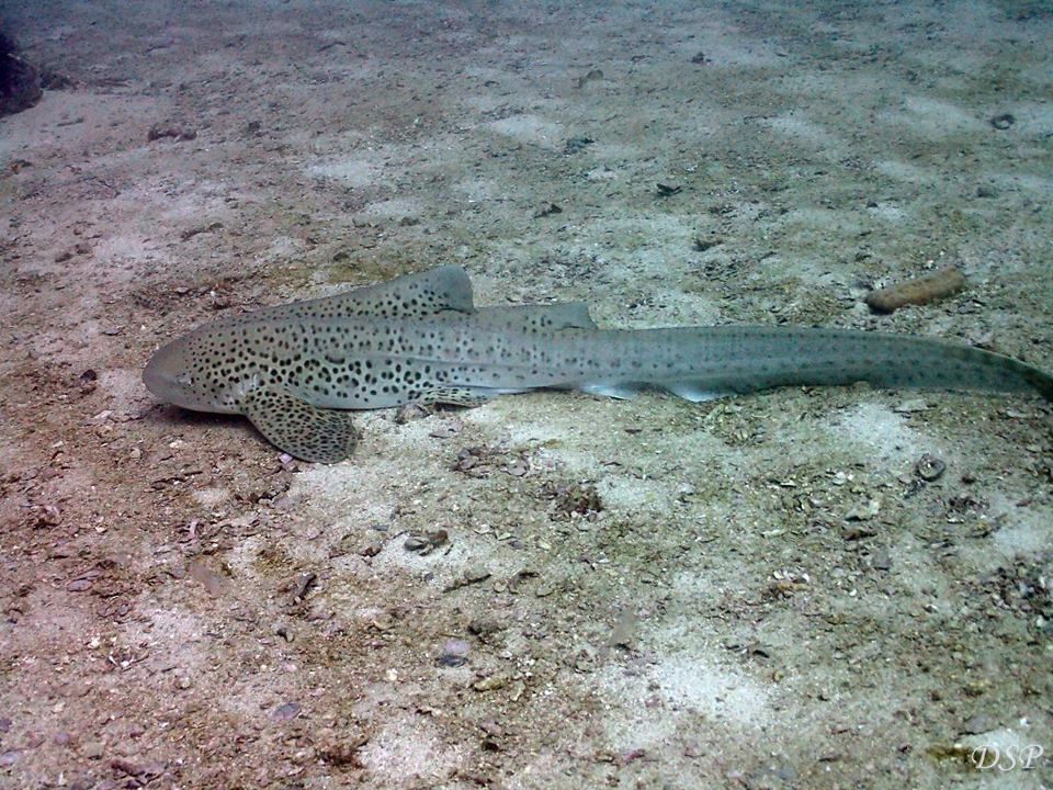 ef3b5125-2c5f-4b2e-b08a-6a2bf6a21cc2