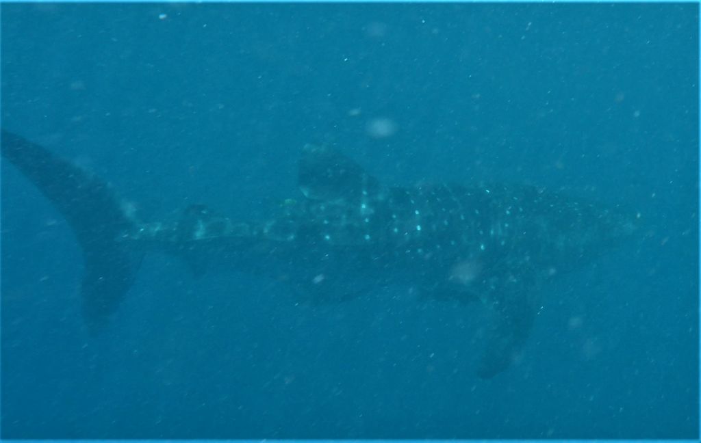 753dbd47-c00f-4a70-9568-1bcde8be79a3