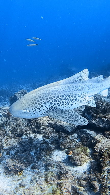 583bec27-1e01-46d2-8c31-4f0bbdb24d9b