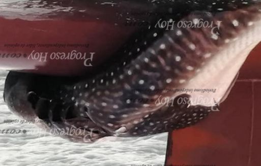 c3c0f052-a85f-4aef-a140-af89905f0a32