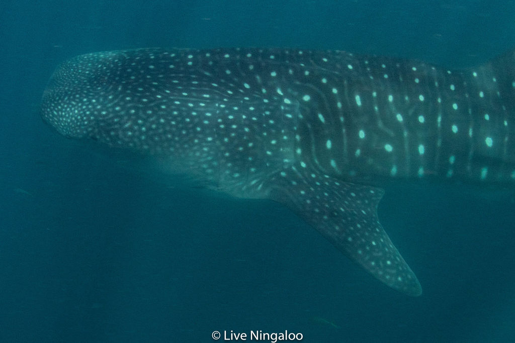 0891e543-ae5b-4e62-8e7f-9a9aa53c5f0e