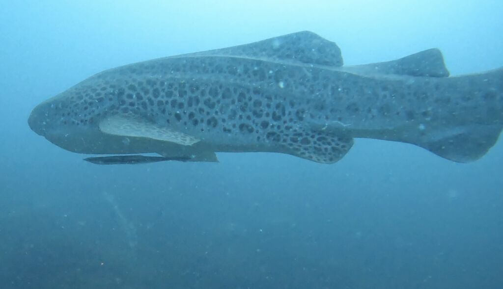 cec71780-51b7-4891-b406-a719653dc0bd