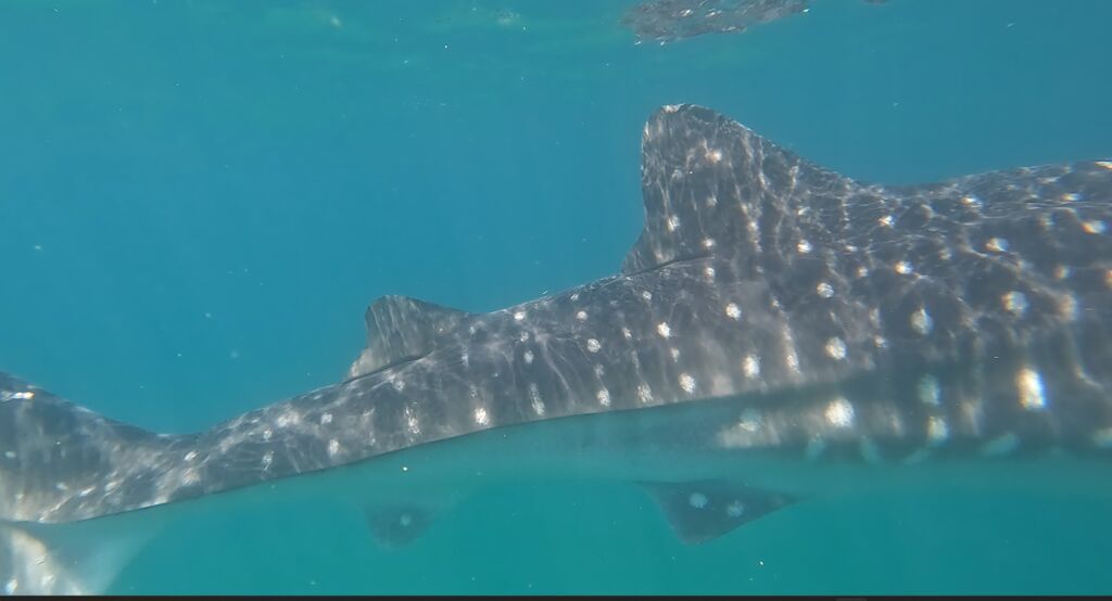 df7eef68-41f3-424c-9529-07f7f83cb67a