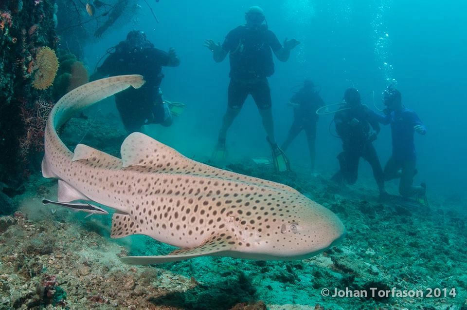 0771a747-ded9-4590-9669-50264fbe59c1