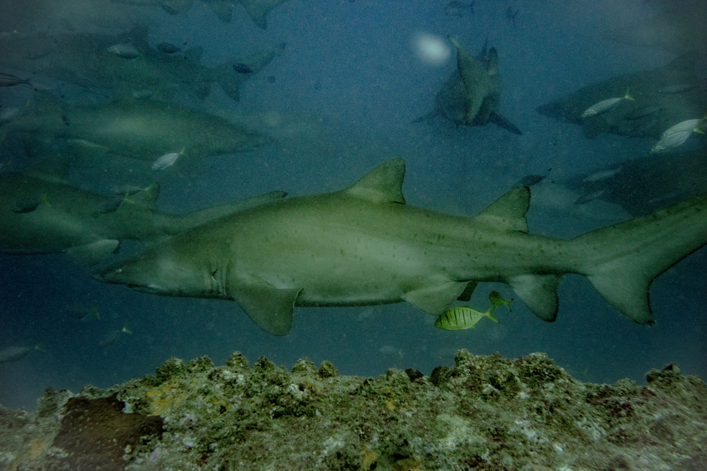 b577f390-7c84-422a-b138-5d76d3bab45c