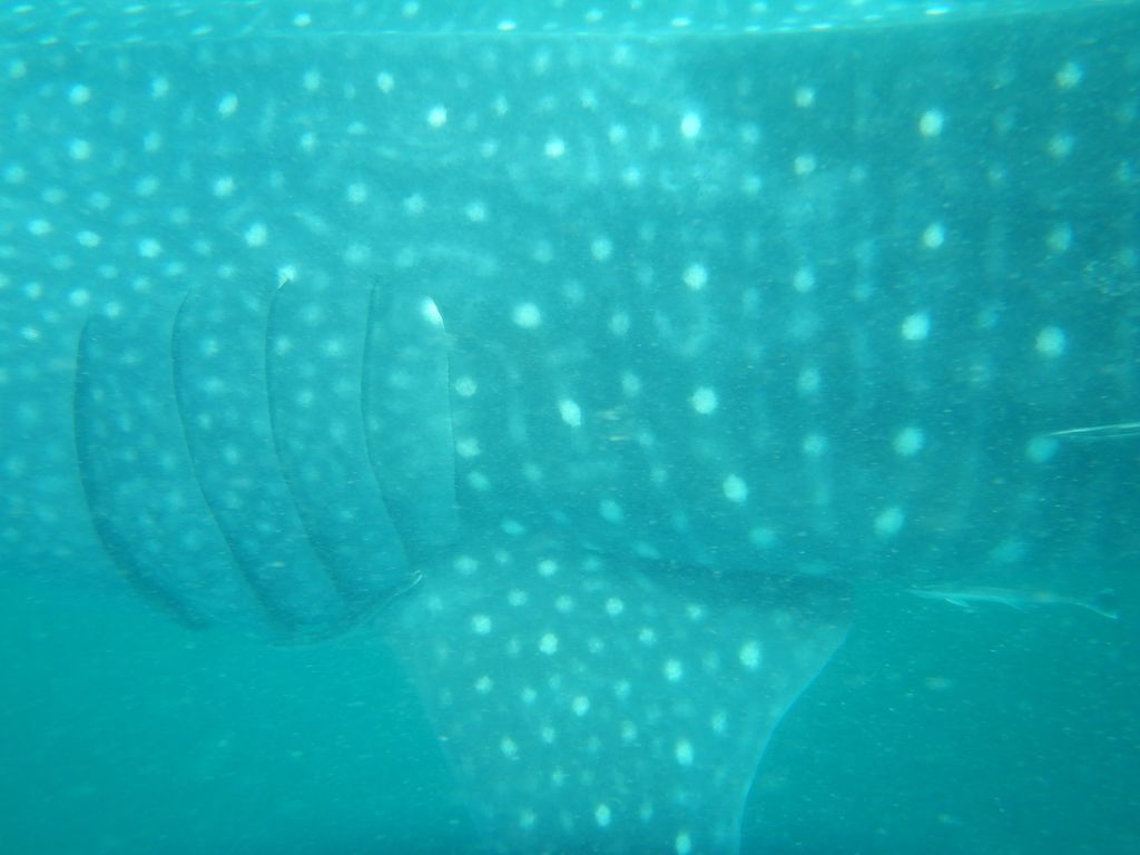 024c2470-7a8b-4af2-bfe4-84ce0437b3ce