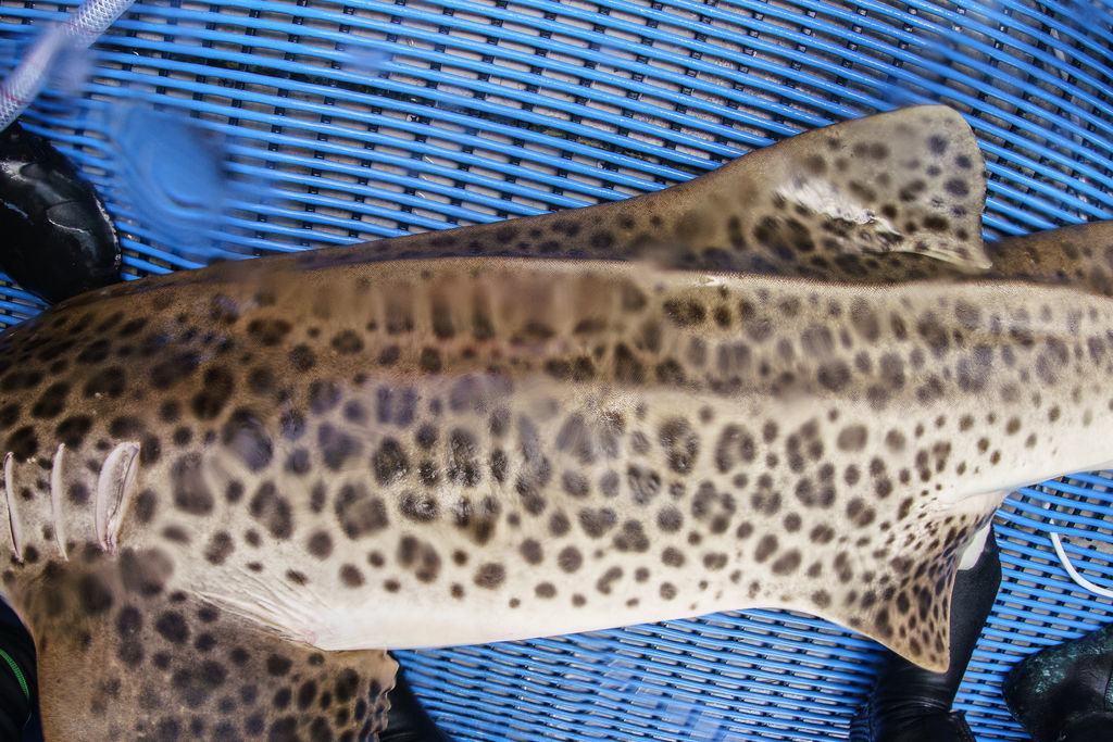 ff133063-1978-489b-a625-a22c9e471fc5