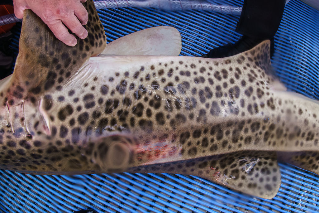 ff133063-1978-489b-a625-a22c9e471fc5