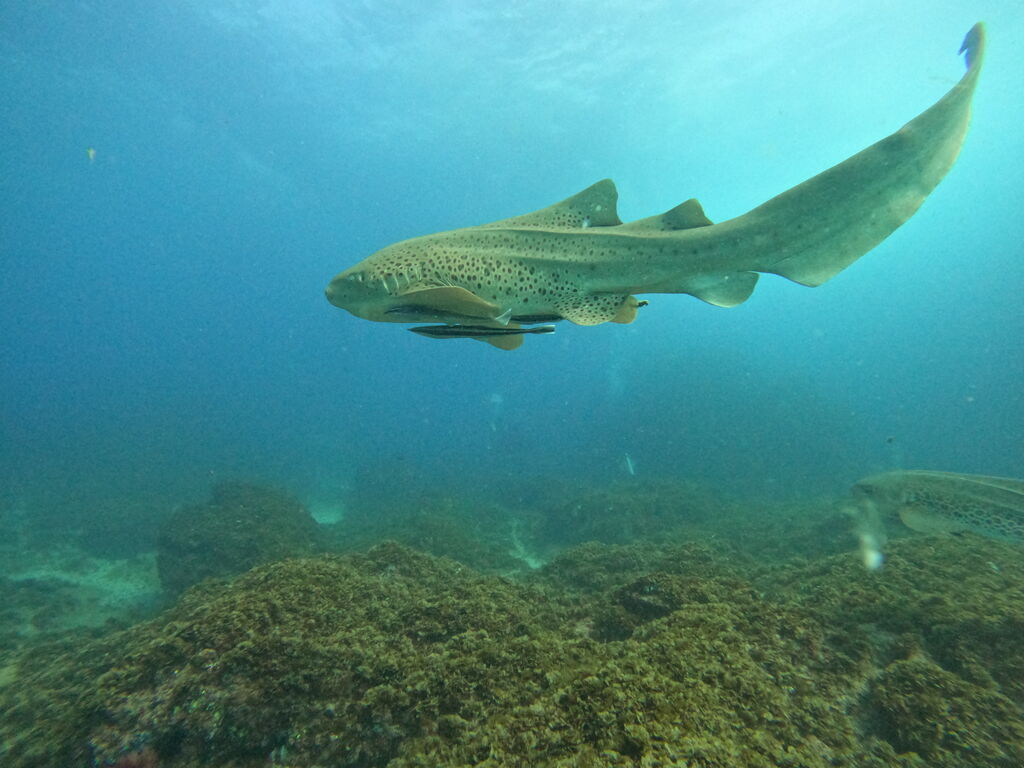 80e0c139-6b38-4634-a8c8-e74f650d40b6