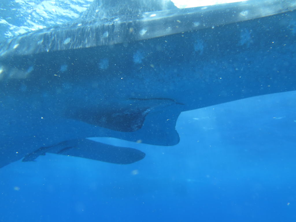 2da96c01-d7ca-4a82-bf90-d35980552f26