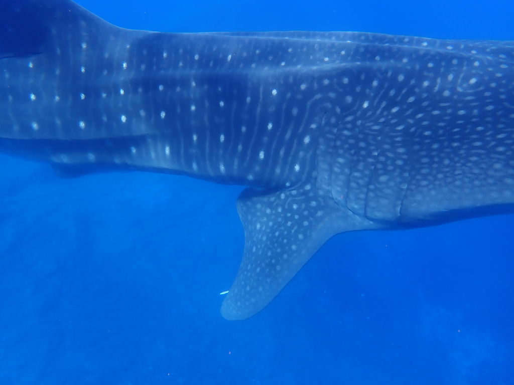 31ce49c1-27f7-4fe5-b2a6-8402507f3b79