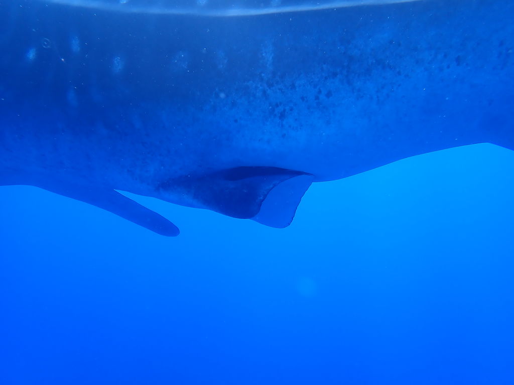 31ce49c1-27f7-4fe5-b2a6-8402507f3b79