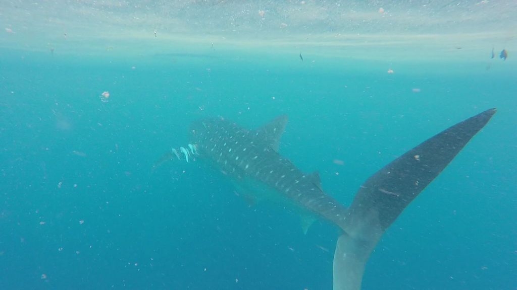 b124358c-2439-49c6-9e1a-e3936a61c465