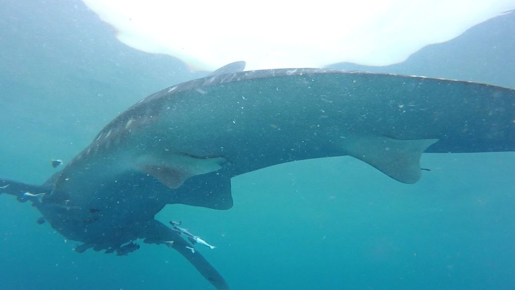 b124358c-2439-49c6-9e1a-e3936a61c465