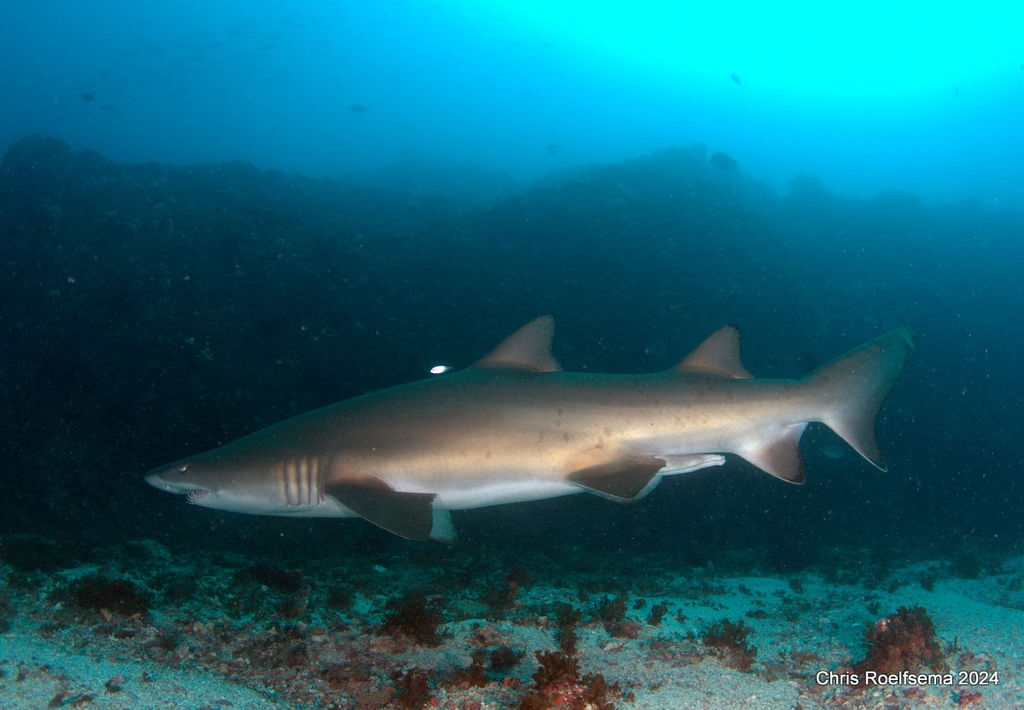 ceaf4ced-0c46-43bb-b96f-d92057d92ef7