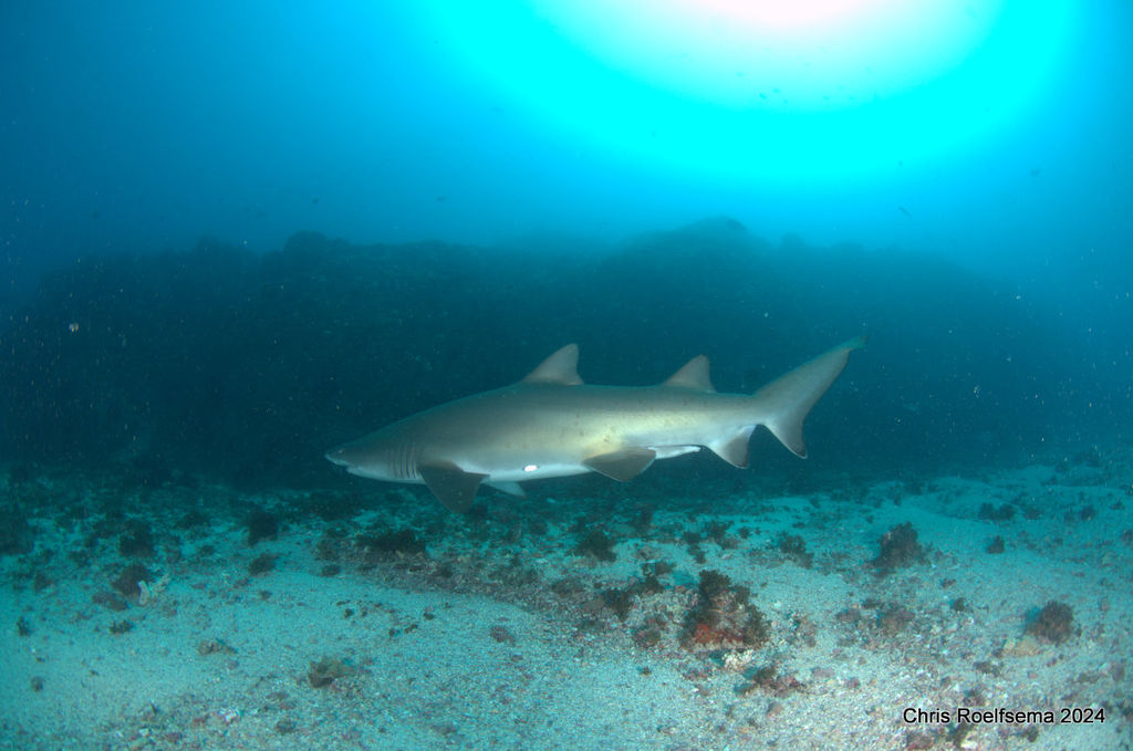 ceaf4ced-0c46-43bb-b96f-d92057d92ef7