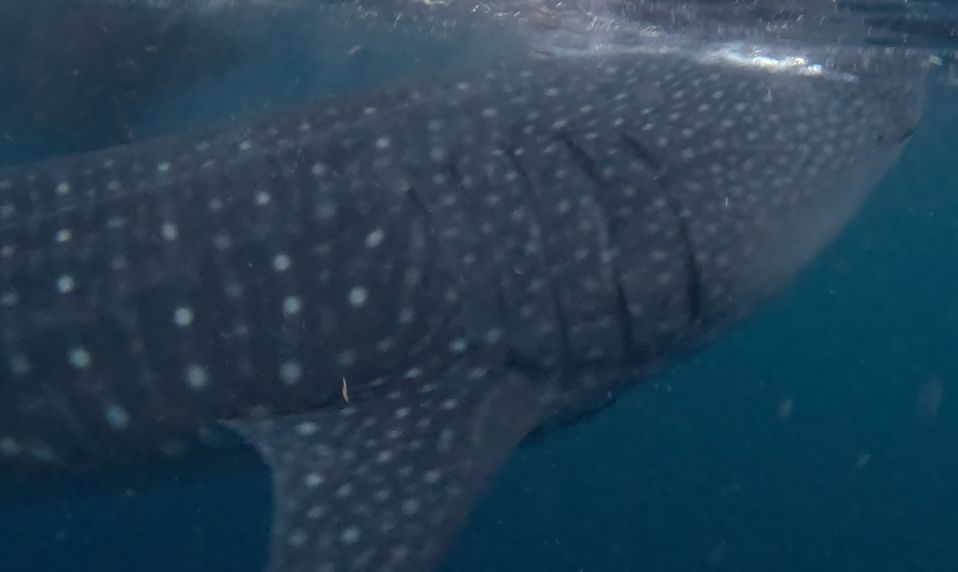 213baa8a-ebfb-4ad5-844d-6f47692ae472