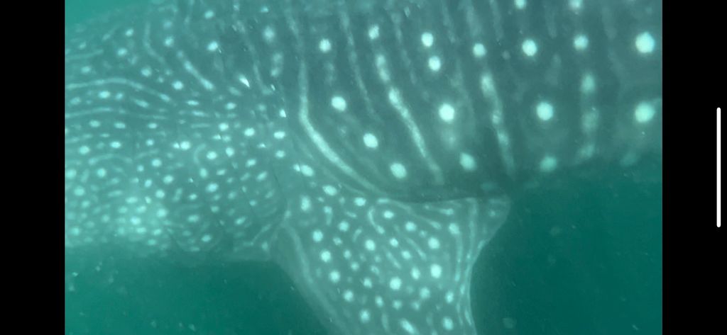 533a94c5-267e-4195-b026-43ccce2560c6