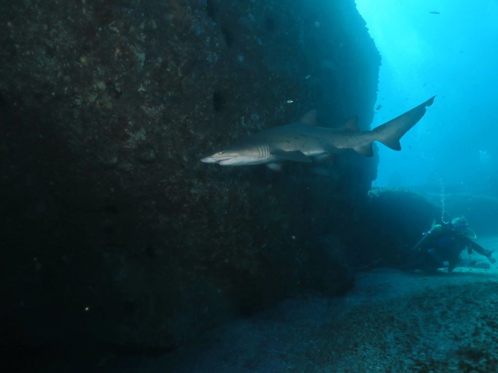 f6fc5086-f3a2-4cb7-a429-63a2f7db69ad