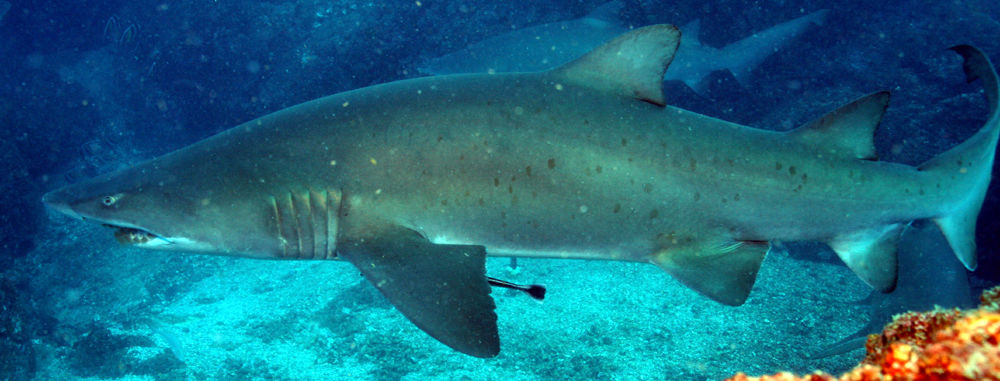 c4d6df79-8660-469d-b351-896e1b8908fc