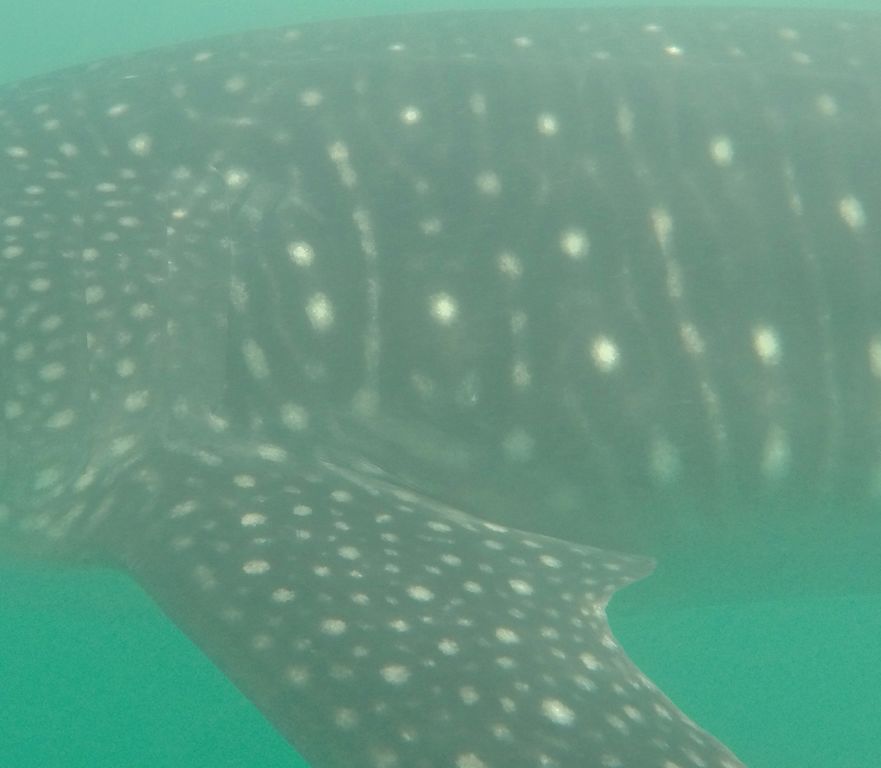 aaa42bb6-4941-4709-a99d-8992f3923c01