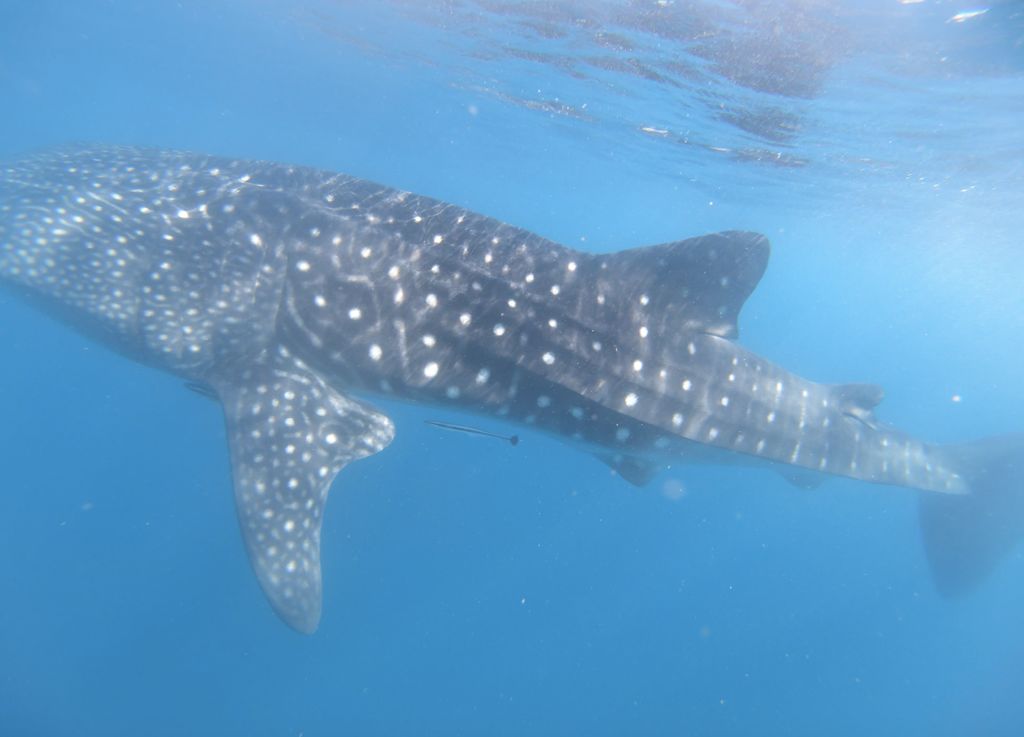 75fa23cf-cbd1-4c79-911b-87e519d78642