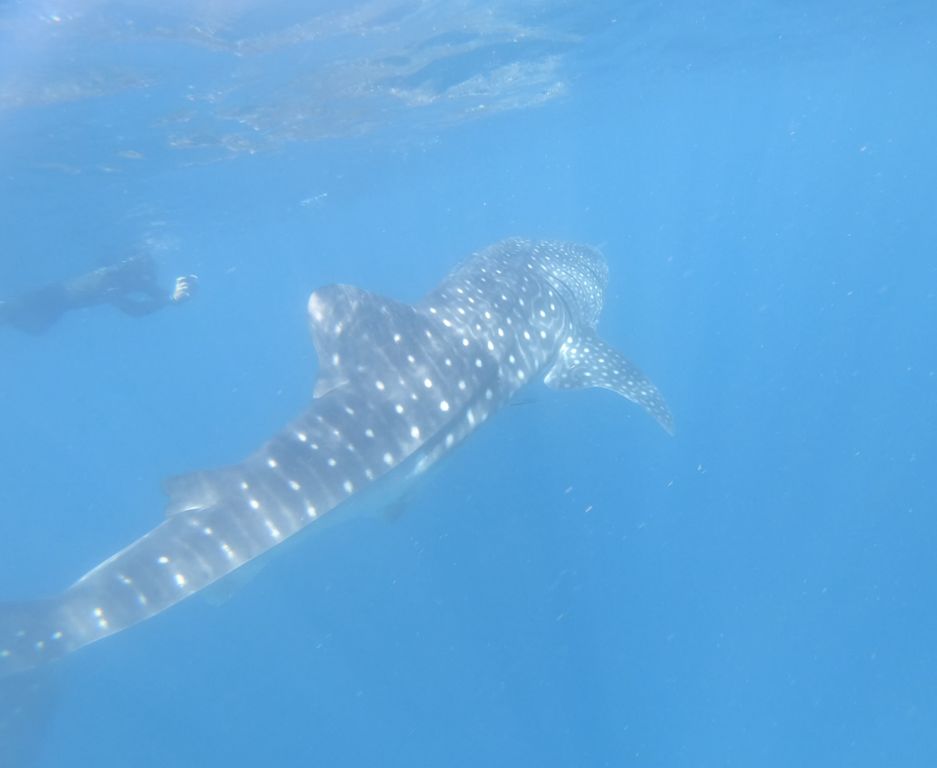 75fa23cf-cbd1-4c79-911b-87e519d78642