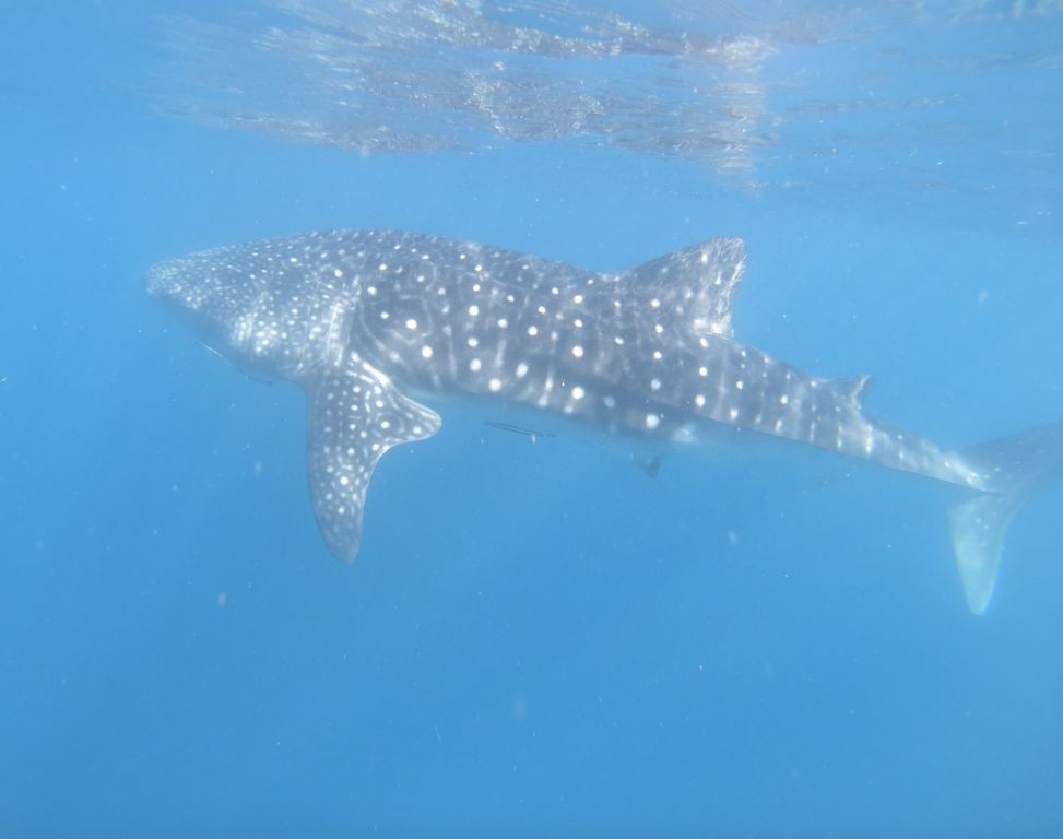 75fa23cf-cbd1-4c79-911b-87e519d78642