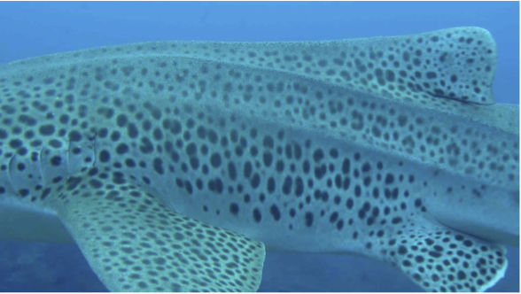 84486d10-0703-4663-8f81-0f34f7a50ea3