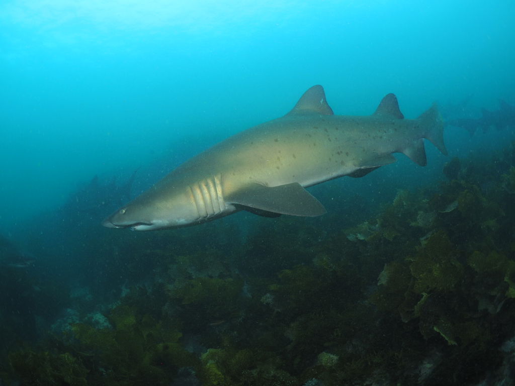 bda3b337-8779-4ef8-9426-505e5a5939ca