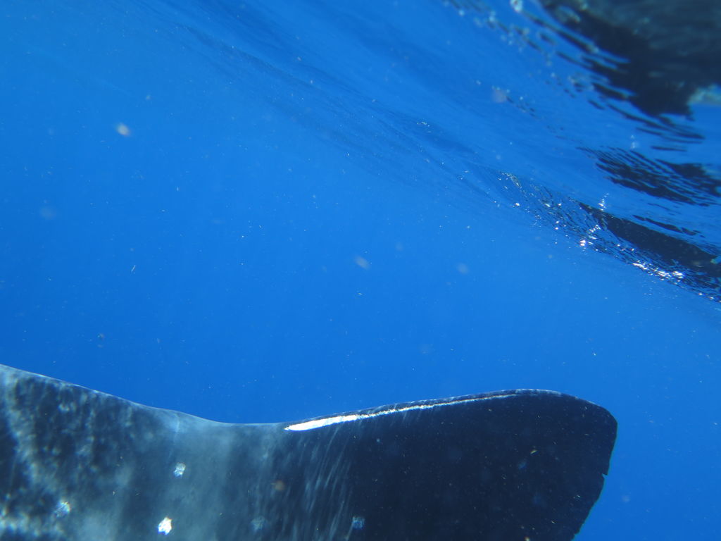 de4964b4-09ab-4eb3-95d7-1bbacd723dd0