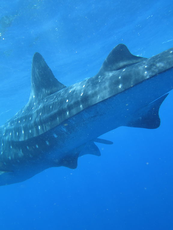 de4964b4-09ab-4eb3-95d7-1bbacd723dd0